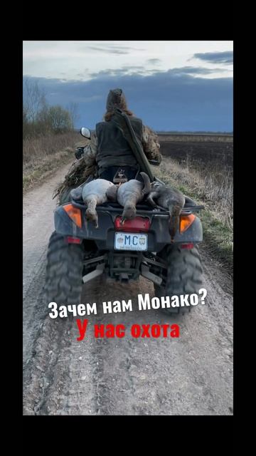 Зачем нам Монако? У нас охота на Гуся #shorts #охота