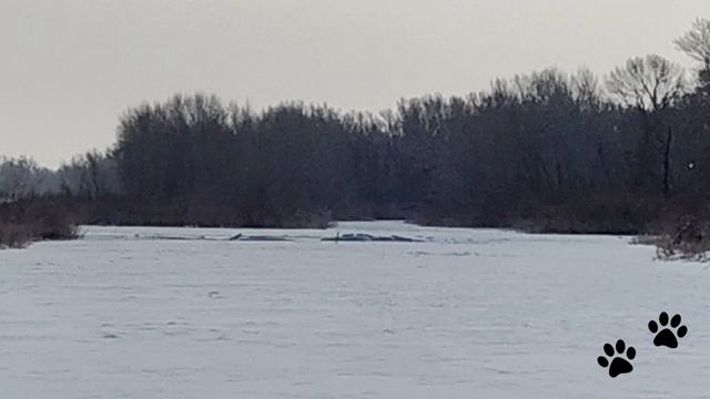 Приехали посмотреть на зимний Урал