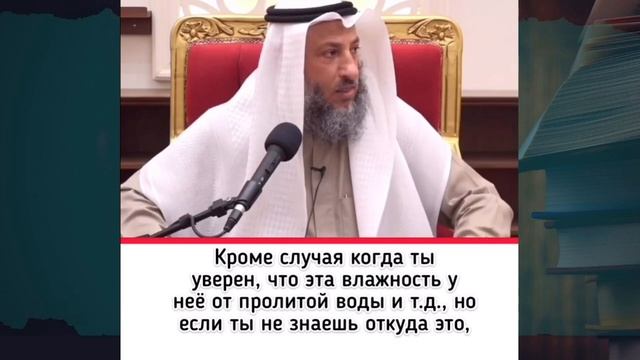 Шерсть собаки наджас (скверна)