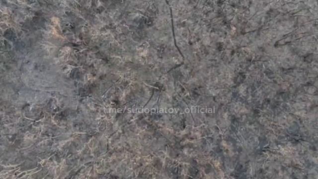 Вражеский БПЛА шел на таран. Но есть нюанс... Работает 217 ПДП, 98я. Часов Яр. Судоплатов. Под...