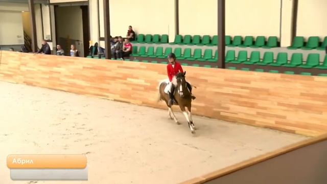 Ярмарка конкурных лошадей-кобыла Абрил 2012г