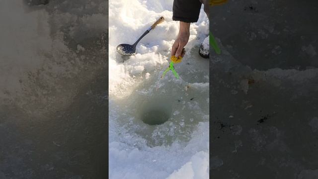 #попали на клёв
