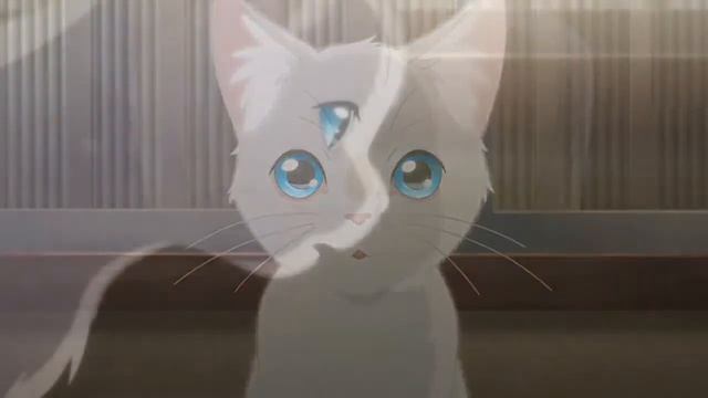 Lastclass & JustWarrenPeace - More Than Friends - Official AMV