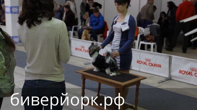 нэрри