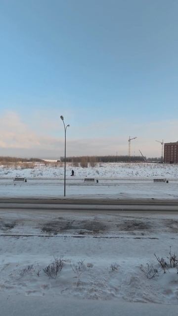 Февральское утро.