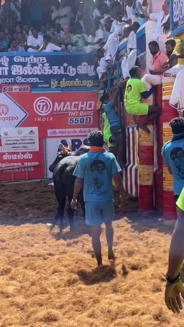 அலங்காநல்லூர் ஜல்லிக்கட்டு மதுரை