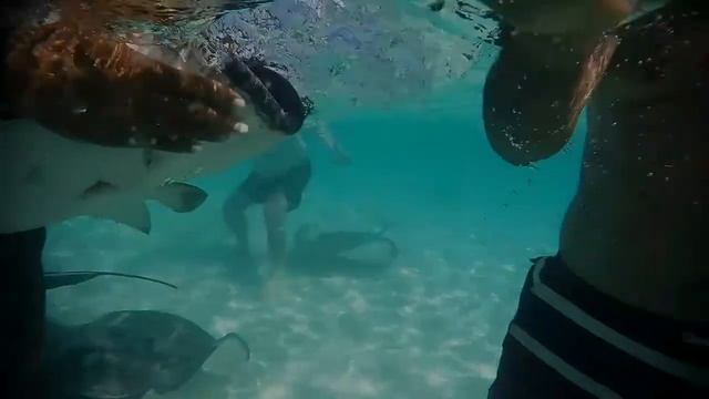 Caribbean Video Blog 1 - Bonaire to Grand Cayman