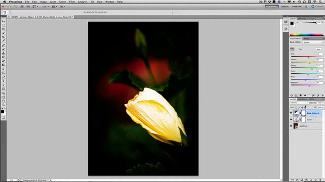 A Real World Camera Raw and Photoshop Workflow