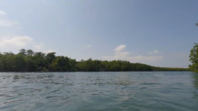 Everglades / Flamingo, plus Florida Keys trip, March 2023 (croc encounter)