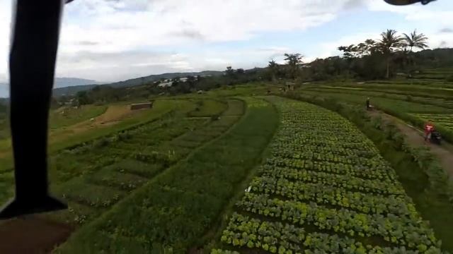 Drone Crash Fail ( Syma X8HW ) with action Cam