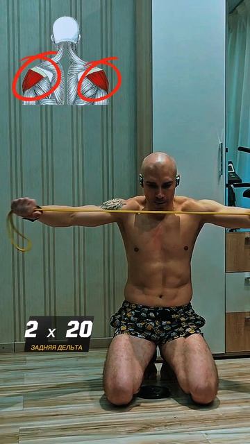 Дельты - дома! #спорт #nogymworkout #sports #workout #shorts