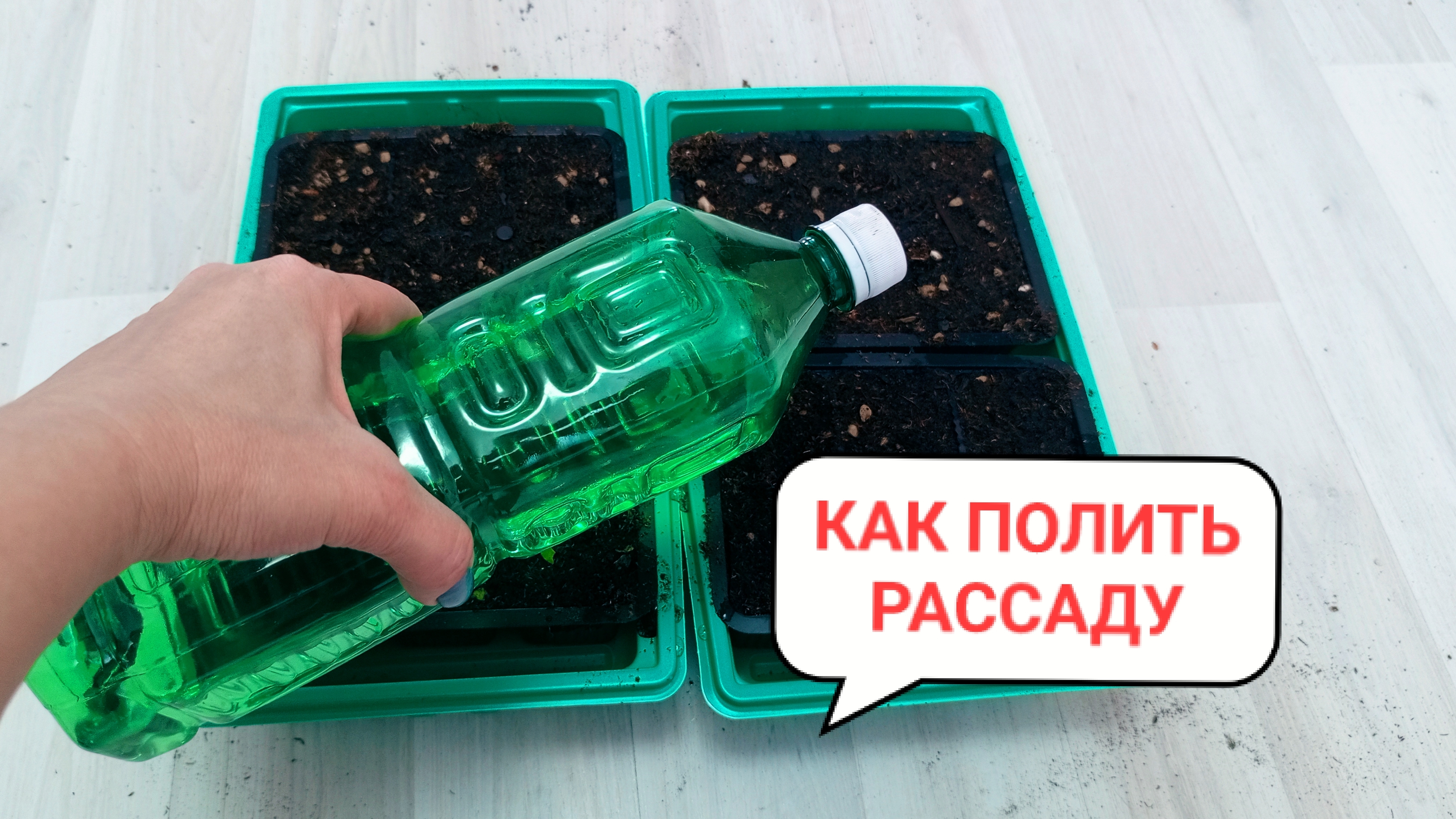 Продолжение прошлого ролика про рассаду. Делаю подушку