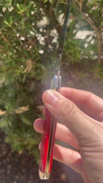 Great Eastern Cutlery 65 Indian Paint Brush Jigged Bone Northfield UnXLd #youtubeshorts #edc #knife