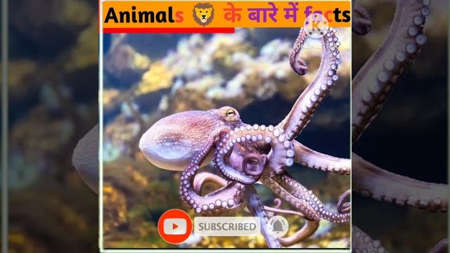 Amazing facts about anals | facts in hindi #ytshorts #shorts #factsinhindi