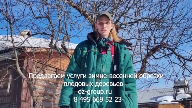 Услуги весенней обрезки плодовых деревьев на дачных участках Москвы и области. Выезд агрономов.