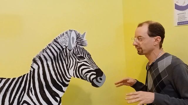 Zebra at the Doctor