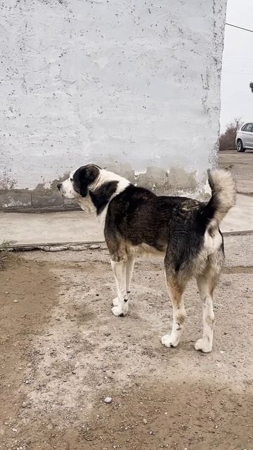 сломил силой Духа.