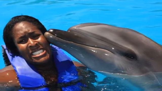 MUSIC FOR DOLPHIN ATTACK SURVIVOR'S SUPPORT GROUP THERAPY