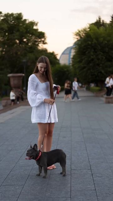 Французский бульдог в центре Волгограда 🥰