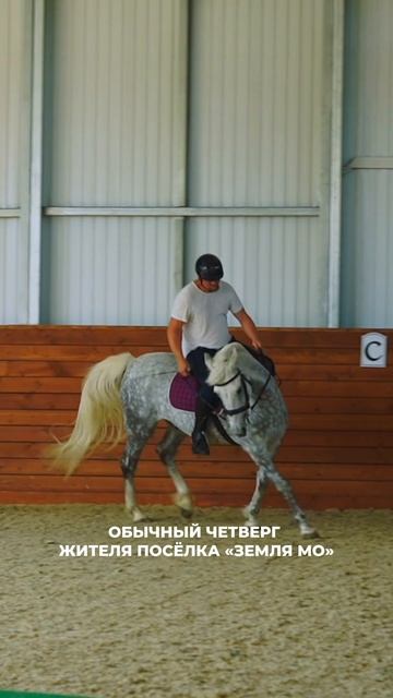 ШКОЛА ВЕРХОВОЙ ЕЗДЫ для жителей "Земля МО" (и шанс выиграть конную прогулку - в описании)