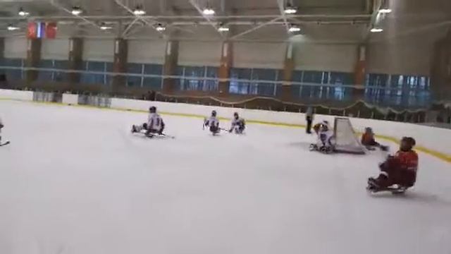 ЧР Удмуртия Ястребы 2 период
