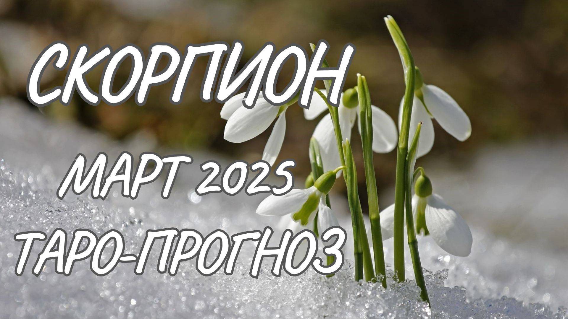 Скорпион ♏ Таро-прогноз на март 2025 года