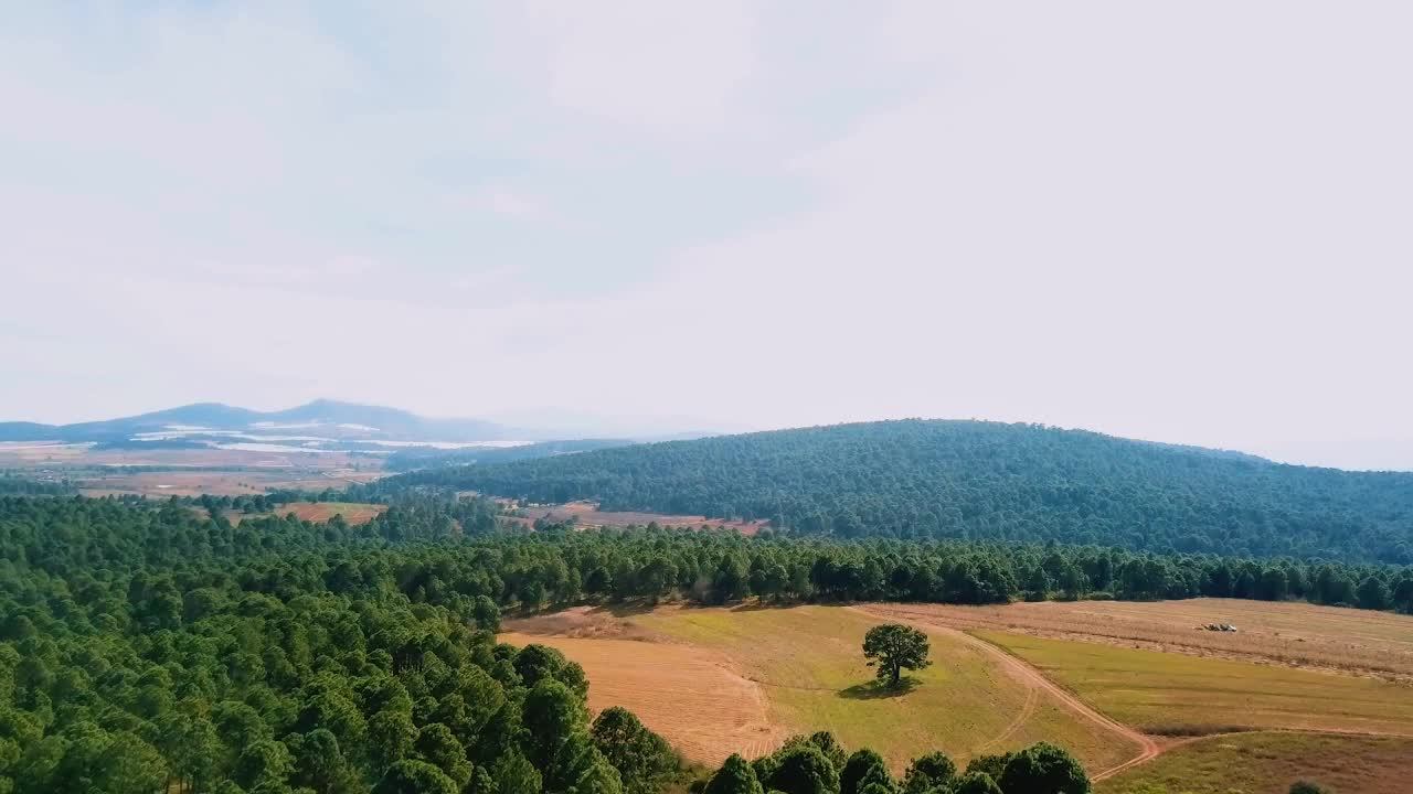 Алтай I Релакс фильм I Медитация I фильм с успокаивающей музыкой Russian Meditation Film