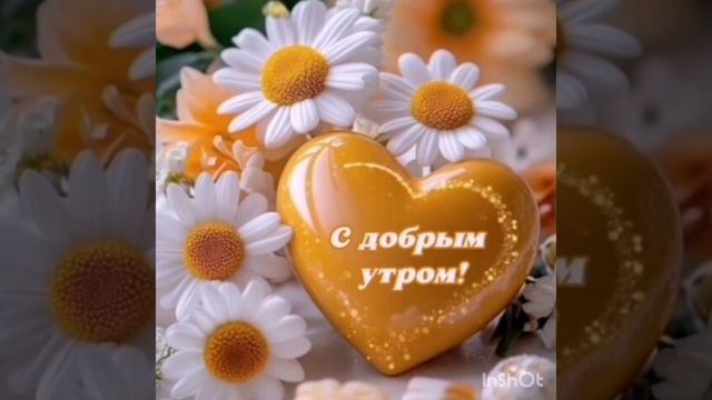 19-02-2025 ЛВЕ