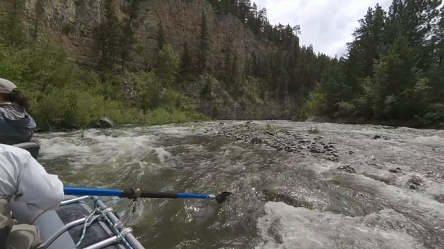 Fly Fishing and Floating Belt Creek, MT June 2018 -- Montana Experience