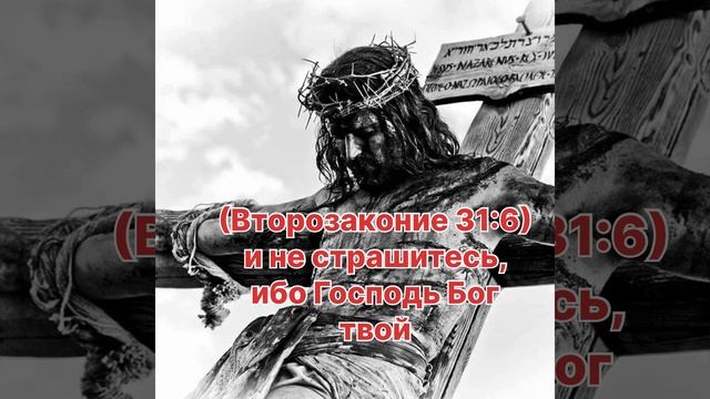 Если хочешь задаться посмотри это видео