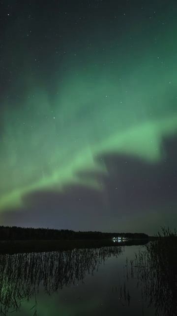 Ленинградская область.Северное сияние