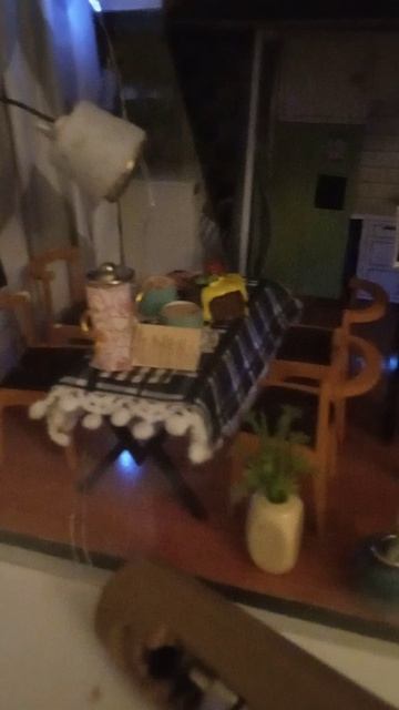 VID_20250219_081038