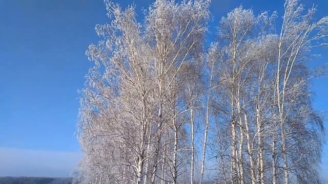 Край, в котором я живу. Зима 2020-2021 гг.