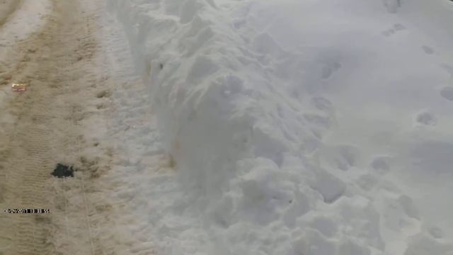 Первый выезд на скутере