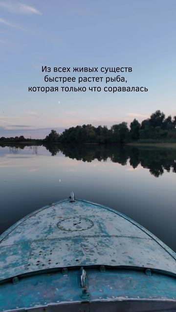 Жестокая правда