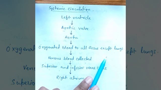 Systemic circulation,#short,#MBBS,#shahabuddinahmad,#youtube #youtubeshort