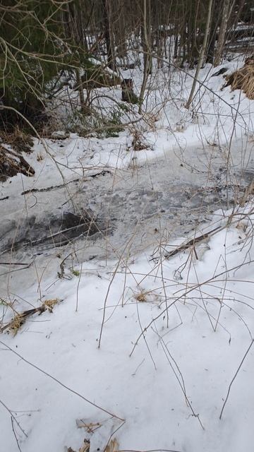 Классный звук трескающегося льда от снежка