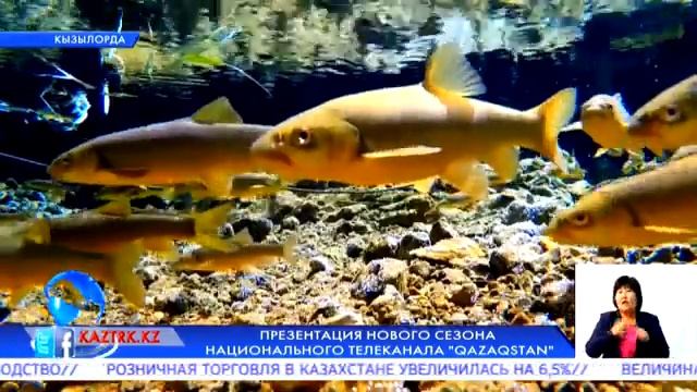 ПРЕЗЕНТАЦИЯ НОВОГО СЕЗОНА НАЦИОНАЛЬНОГО ТЕЛЕКАНАЛА "QAZAQSTAN"
