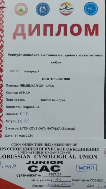 Питомник немецких овчарок TRYGGVI ULF