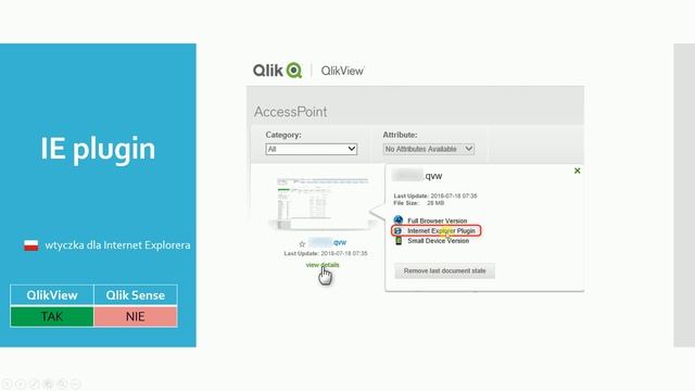 #03 Słownik Qlika cz.2/2 - dashboardy, rozszerzenia, licencje, praca jako developer