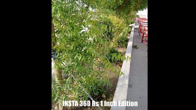 INSTA 360 One RS 1_inch Edition VS Nikon Z30 Camera Test