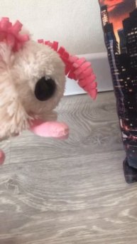 Когда в Наш класс с летела пчела ! #рекомендации #смешно #блоптоп 