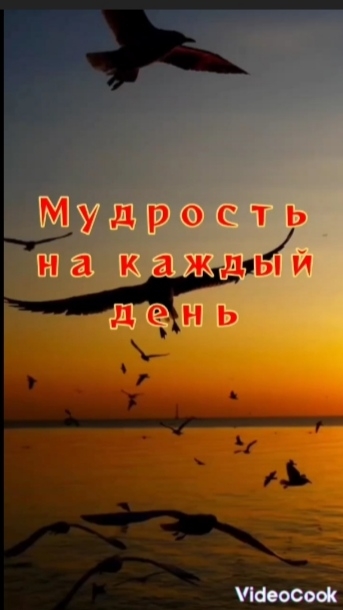 Адам Журек