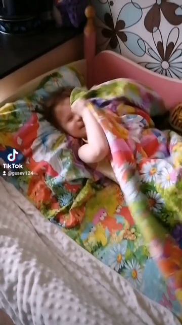 Постельный клоп Полинка