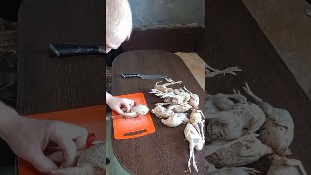 первый забой перепелов.