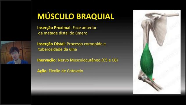 Biomed 09 - BRAÇO E FOSSA CUBITAL