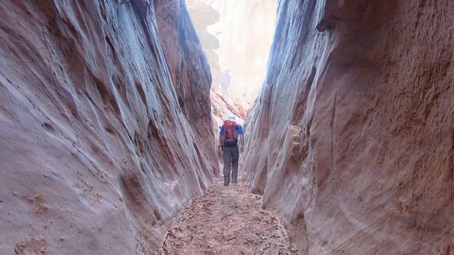 Egypt 2 Canyon, Escalante, Utah