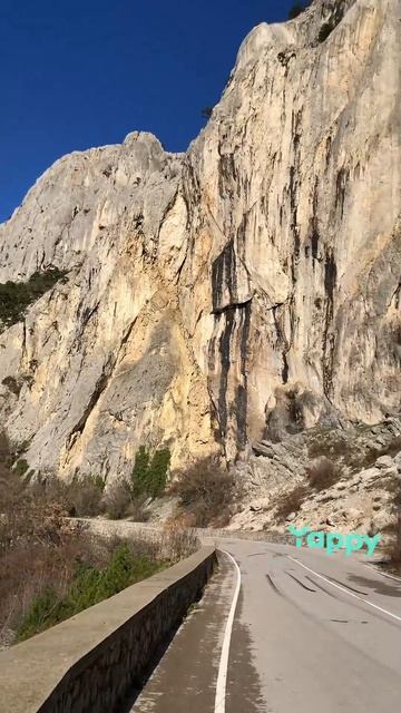 Где то в дороге на Ялту