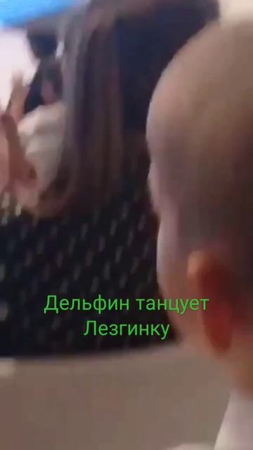 💃🕺Морской Котик  танцует лезгинку