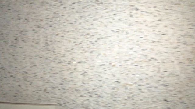 1000131210.mp4